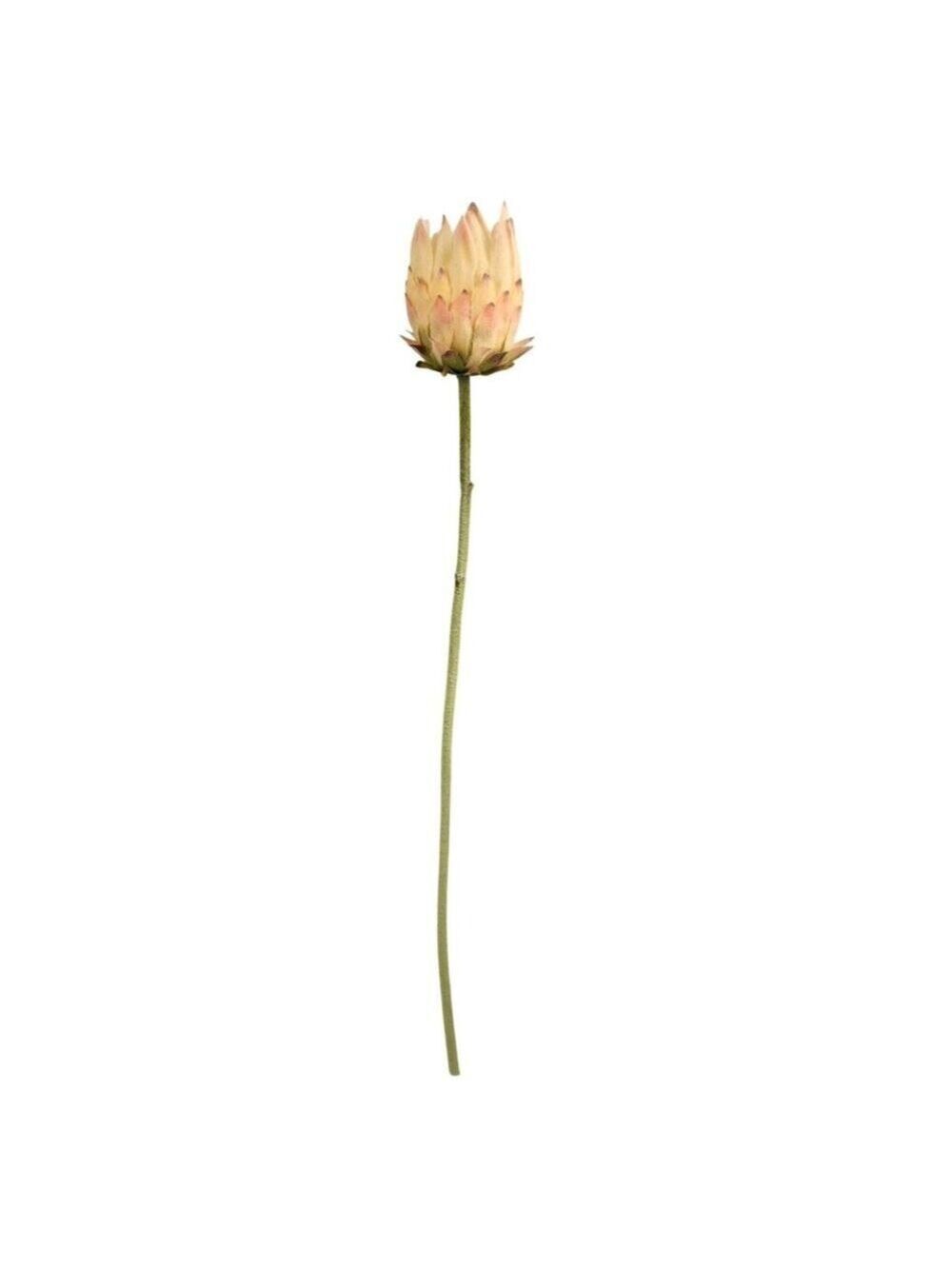 Artificial King Protea Stem Blush Pink Cream Faux Giant Protea Flower 25 Inch